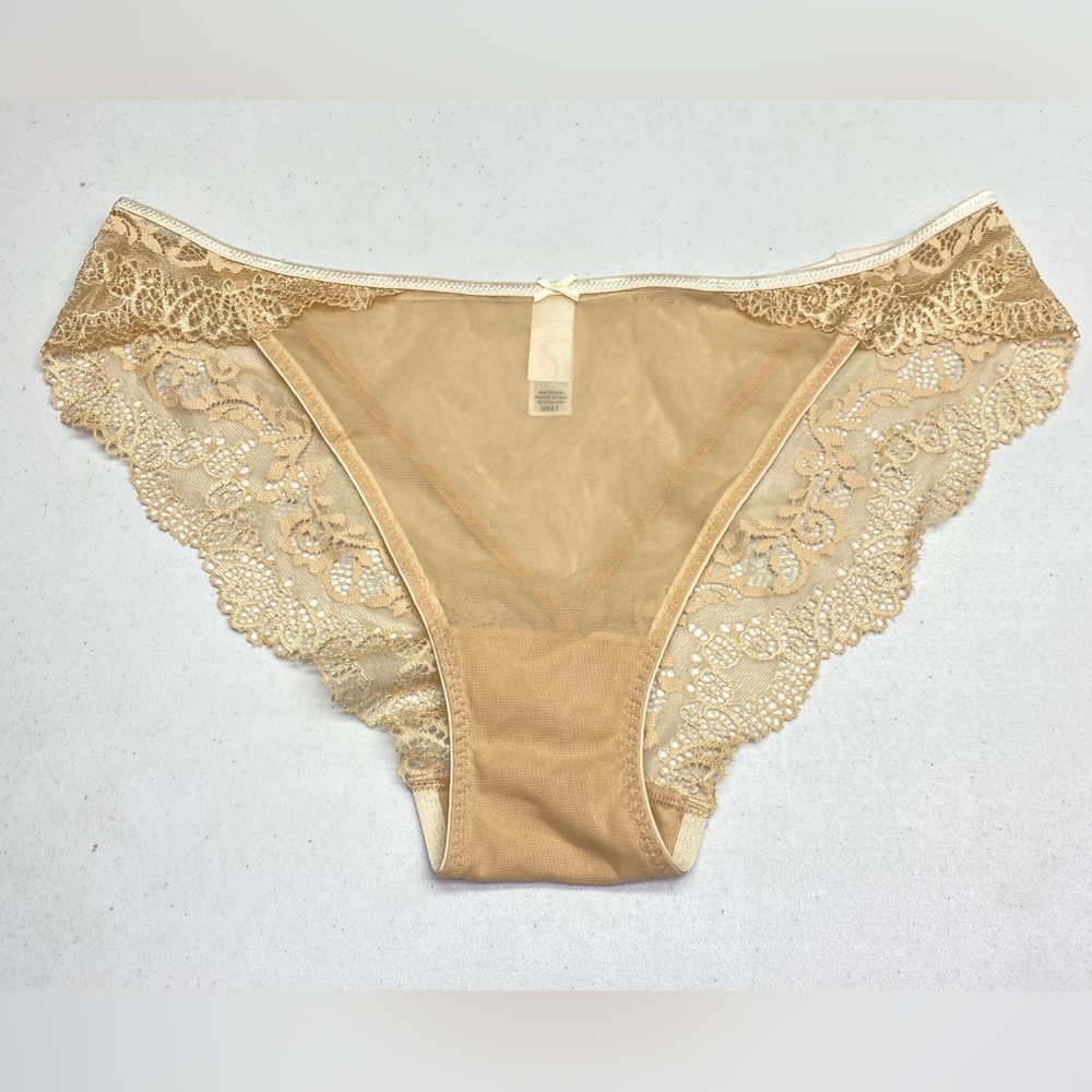 NWOT DNYK TAN Mid rise Sheer Panties, L